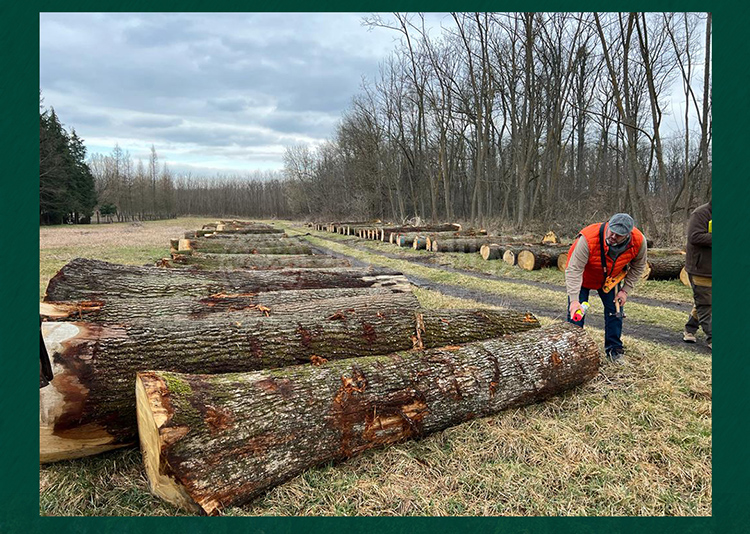 F6福鹿会_官方网站app下载