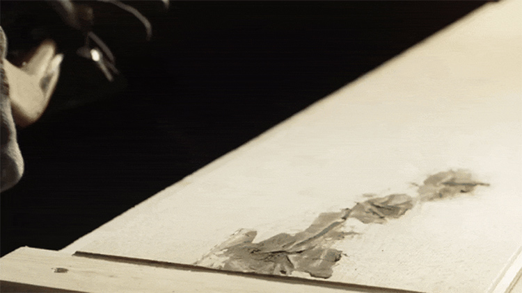 F6福鹿会_官方网站app下载