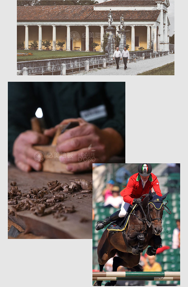 F6福鹿会_官方网站app下载