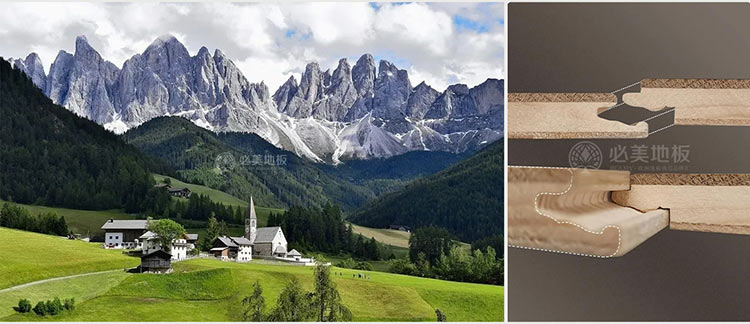 F6福鹿会_官方网站app下载