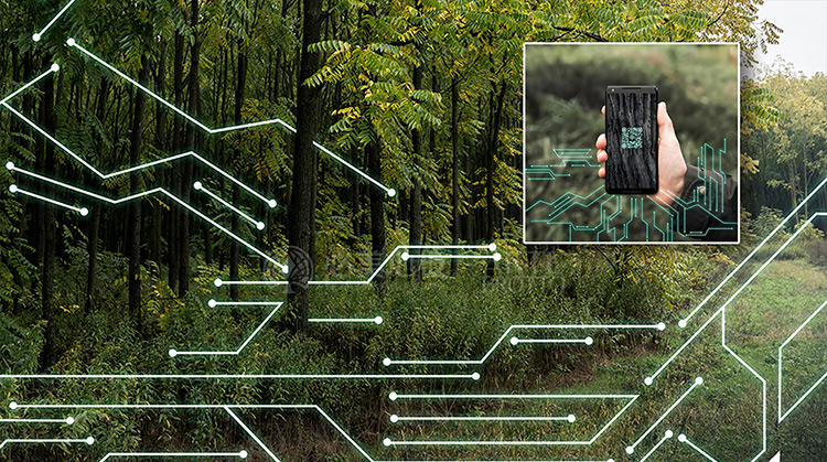 F6福鹿会_官方网站app下载